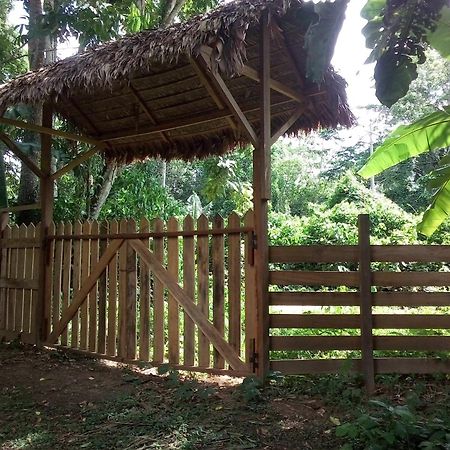Tambopata River Puerto Maldonado Buitenkant foto