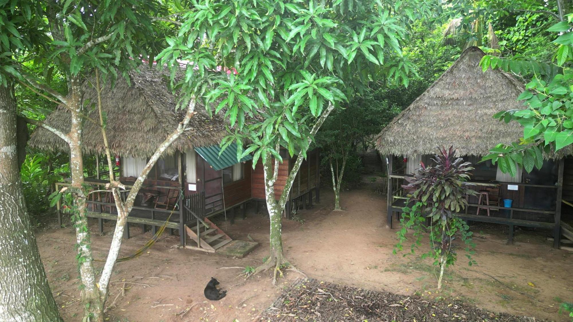 Tambopata River Puerto Maldonado Buitenkant foto