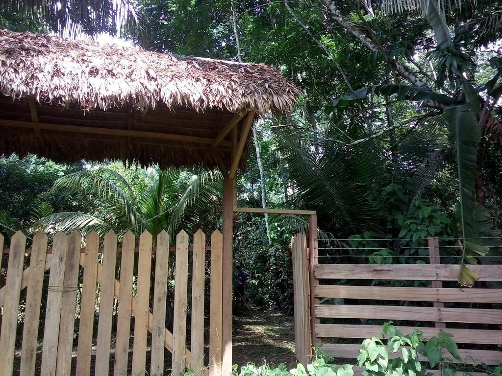 Tambopata River Puerto Maldonado Buitenkant foto
