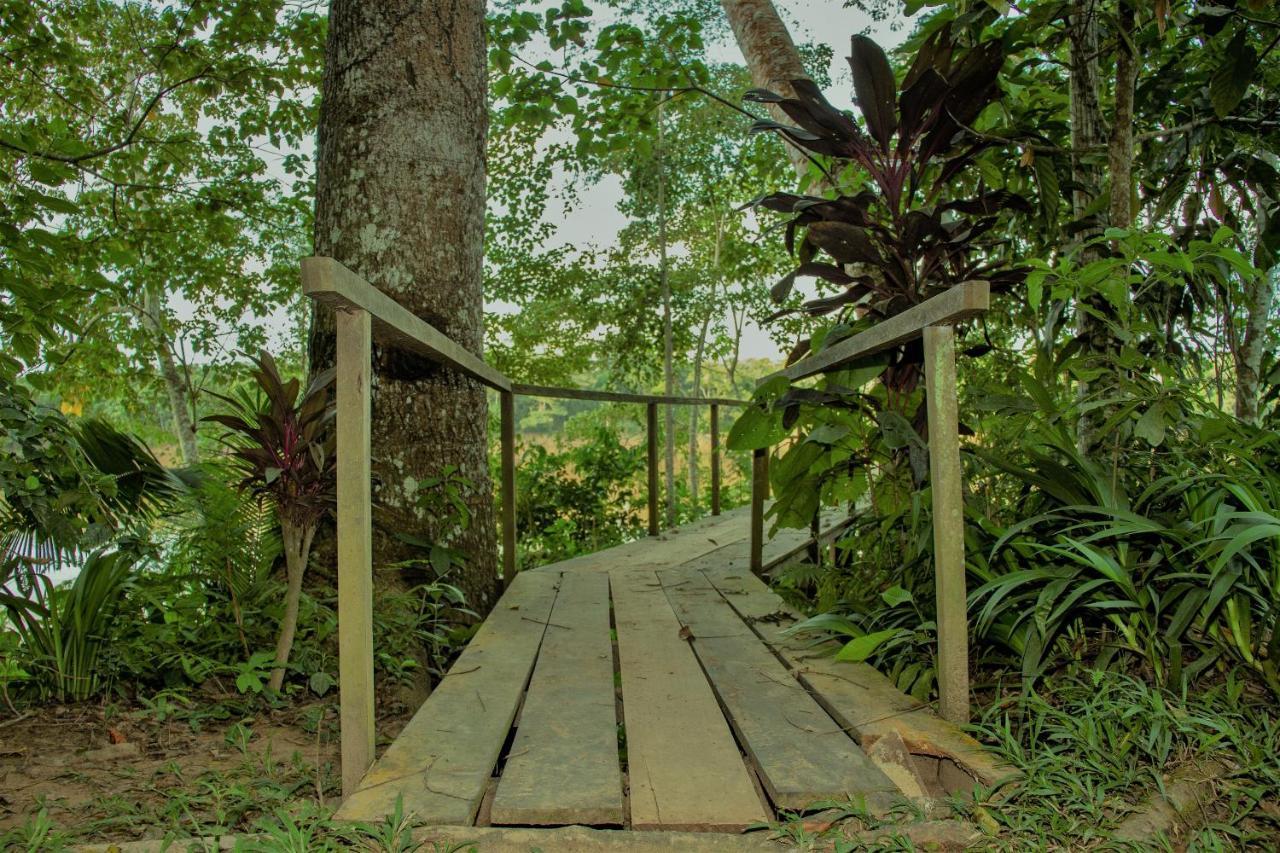 Tambopata River Puerto Maldonado Buitenkant foto